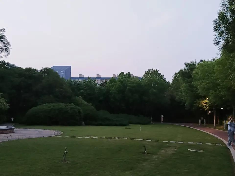 发一张你相册近期拍的花