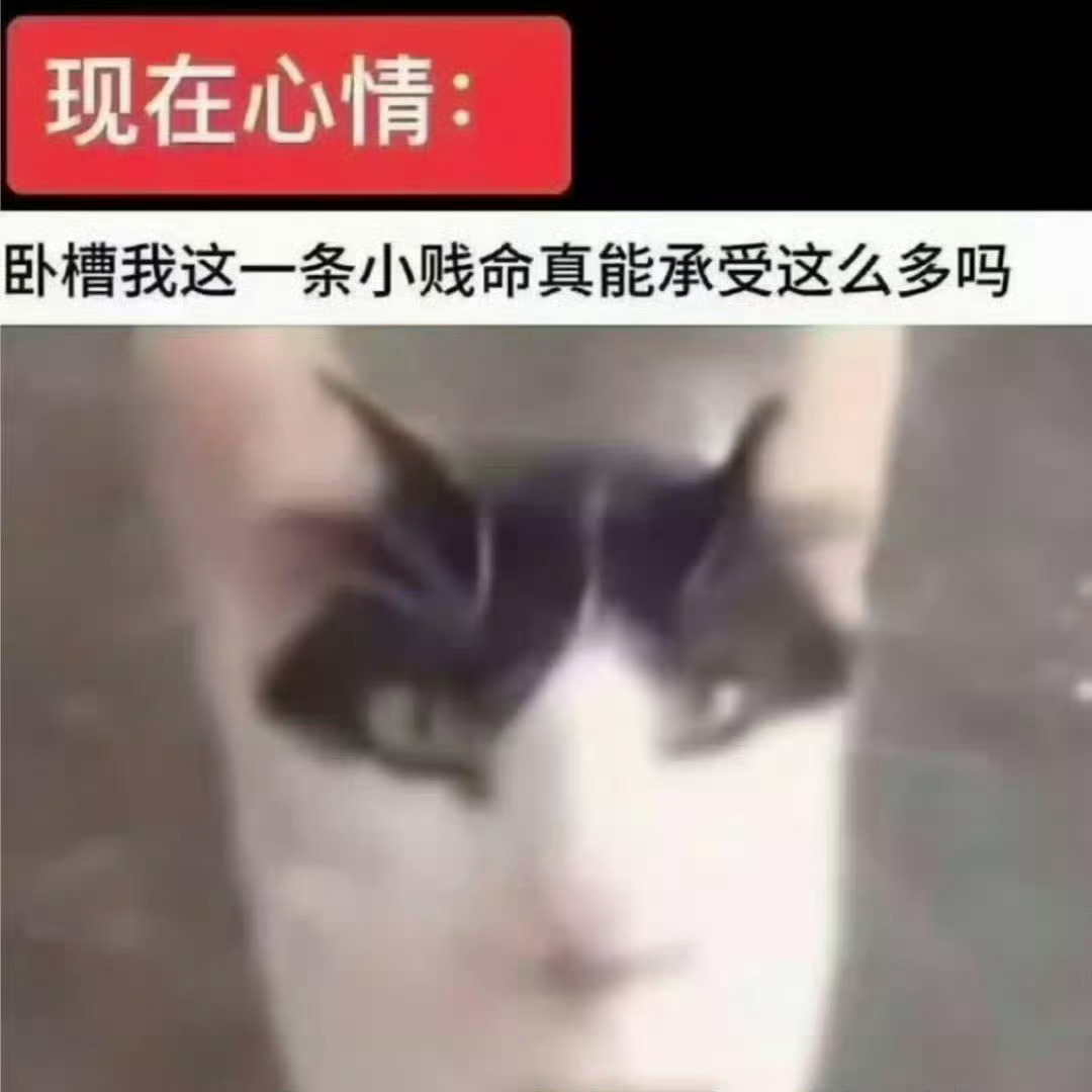 分享图片 