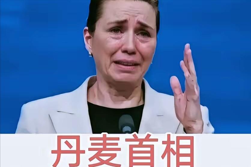 这个世界上有两个国家不要去同情她，一个是日本，一个是丹麦，都是美国的走狗，溜须拍