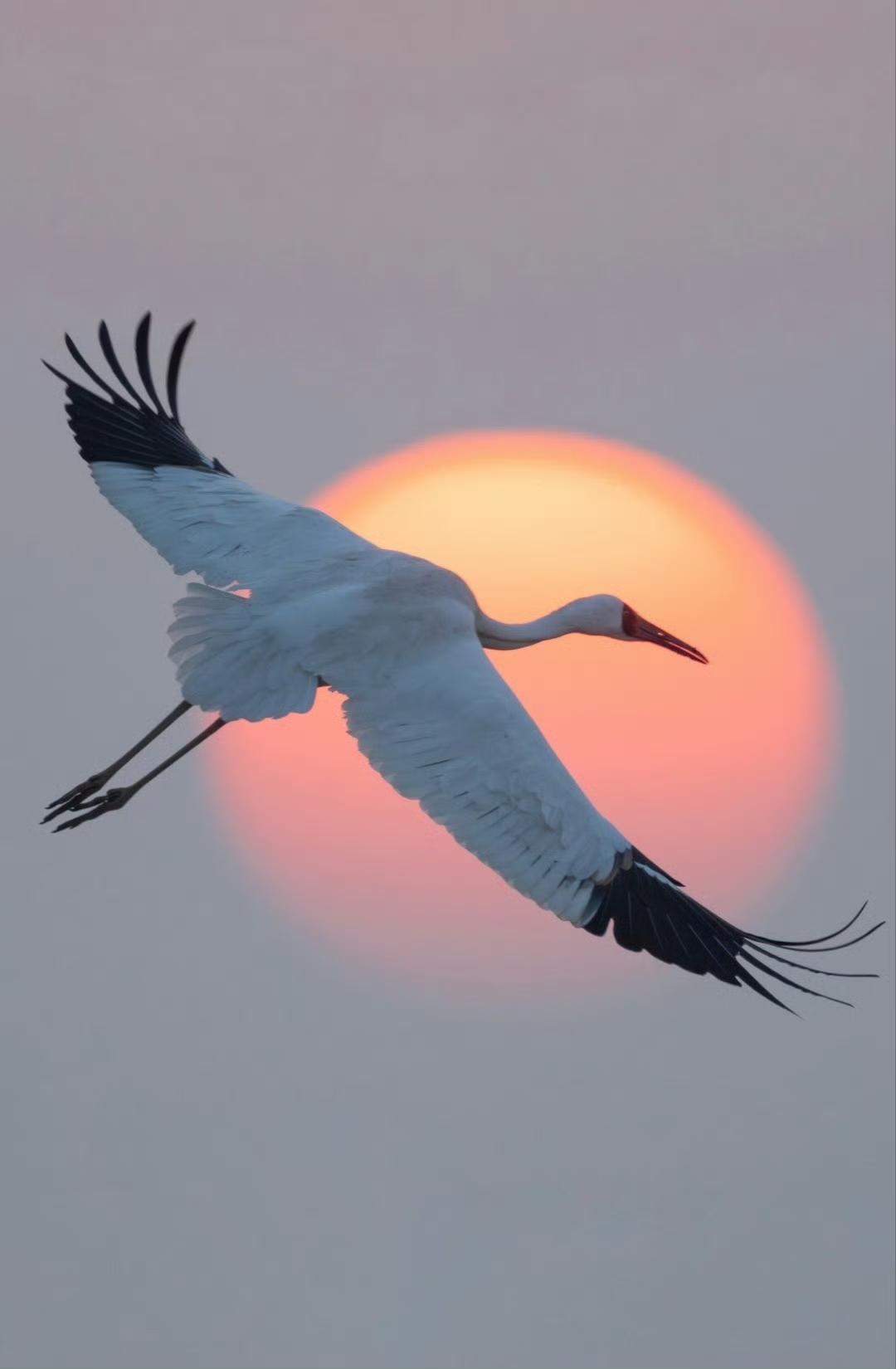 给自己一句话，你会说什么?
坚守热爱，不负时光，
让前路繁花盛开，
让生活温柔有