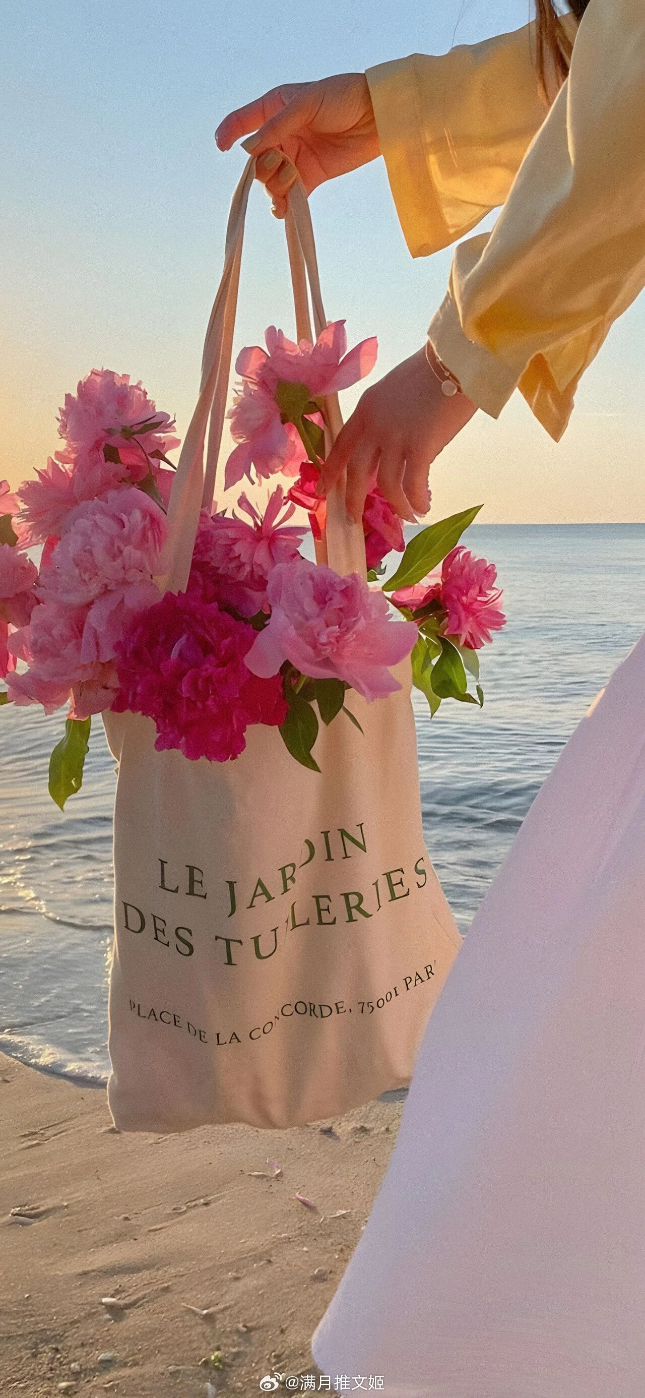 世界吵嚷，人海匆忙。谢谢你，用不慌不忙的真诚，接住了我的所有忐忑。——甜野豹《秋