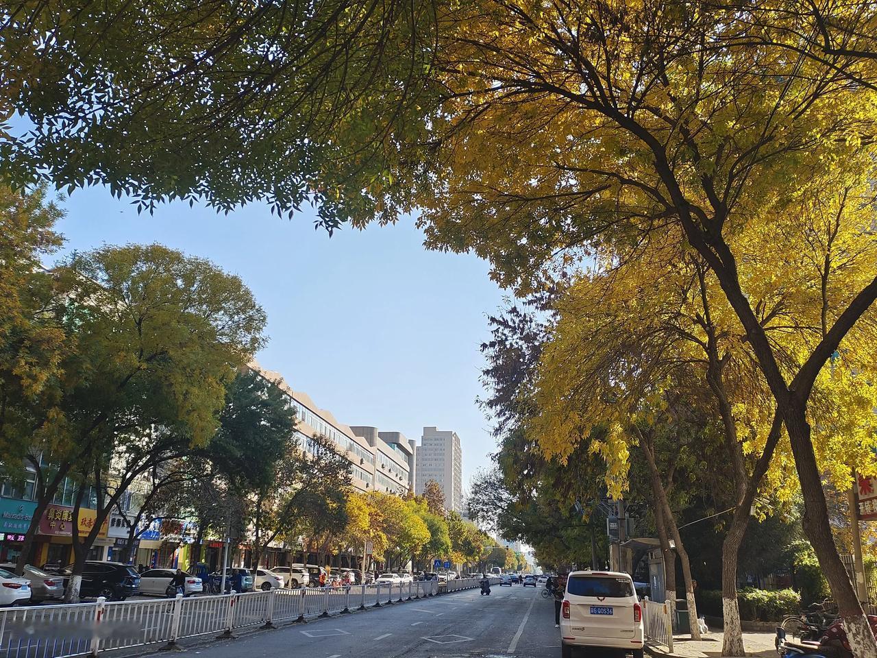 秋天的彩叶，是这座城市最美的风景。站在街头观宣化美景