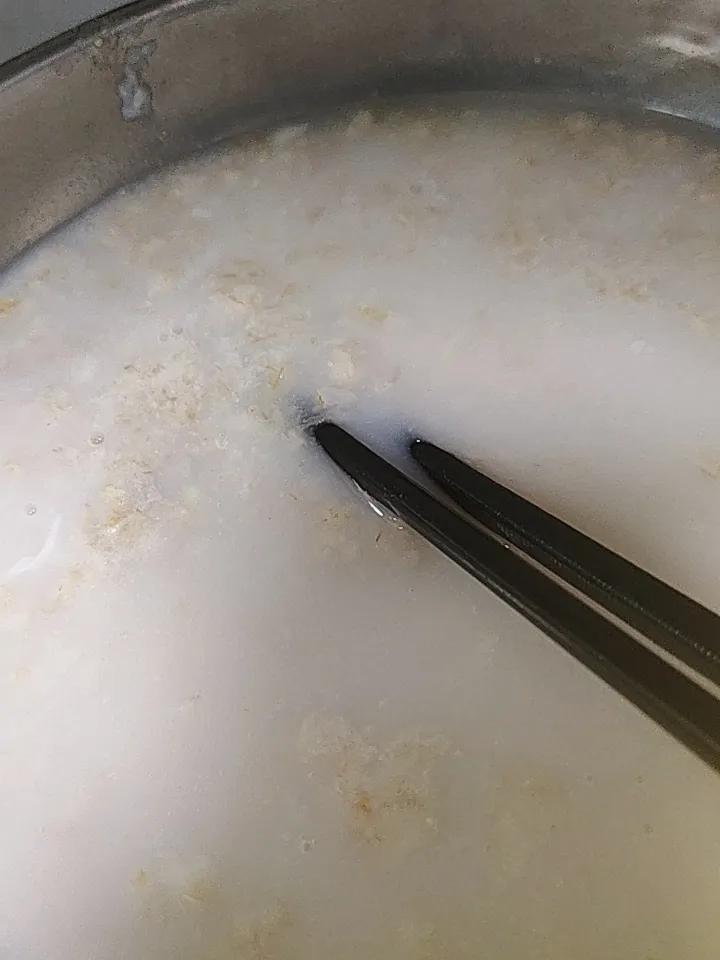 今日早餐是我最爱，野燕麦，汤浓淡白，真好吃懒人早餐燕麦 无糖燕麦早餐 蒸的燕麦更
