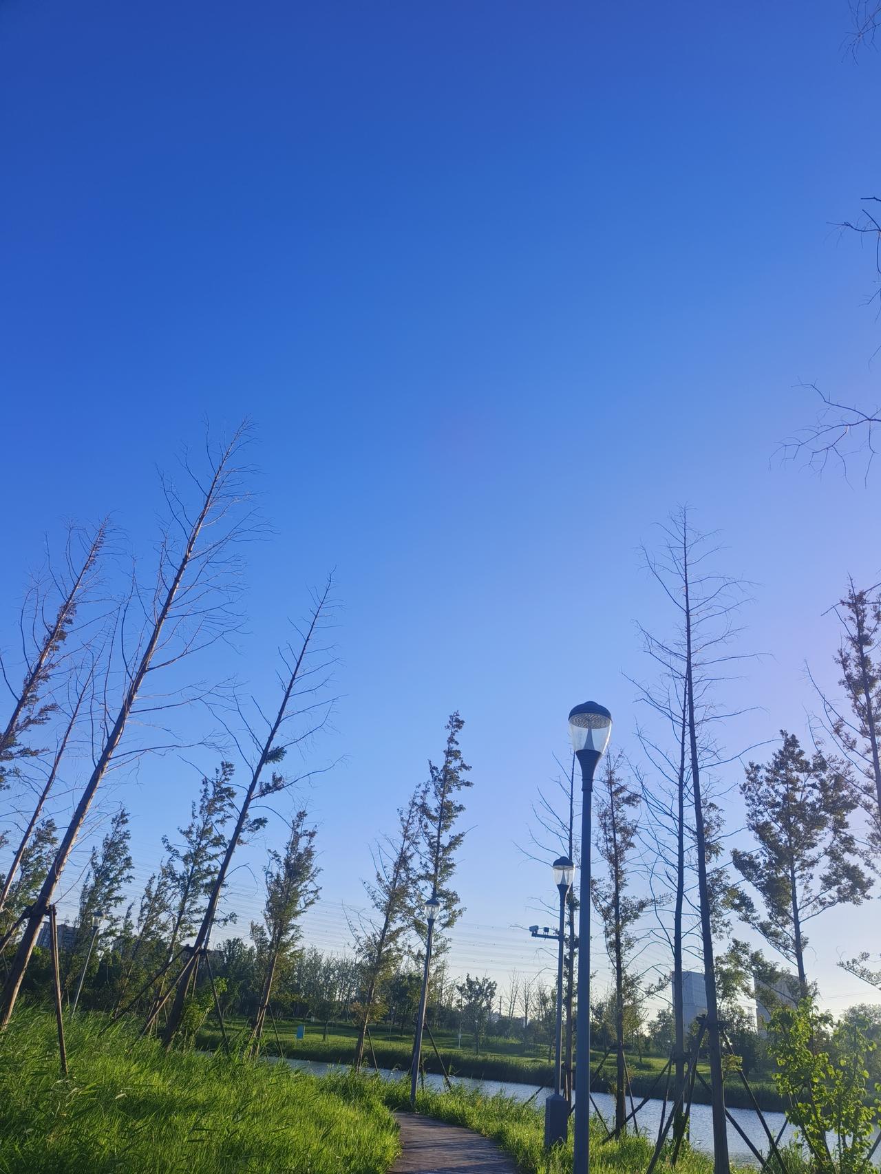 真正的告别，其实就是看懂了他的退缩，他都不想继续了，自己也没有希望再走下去。
