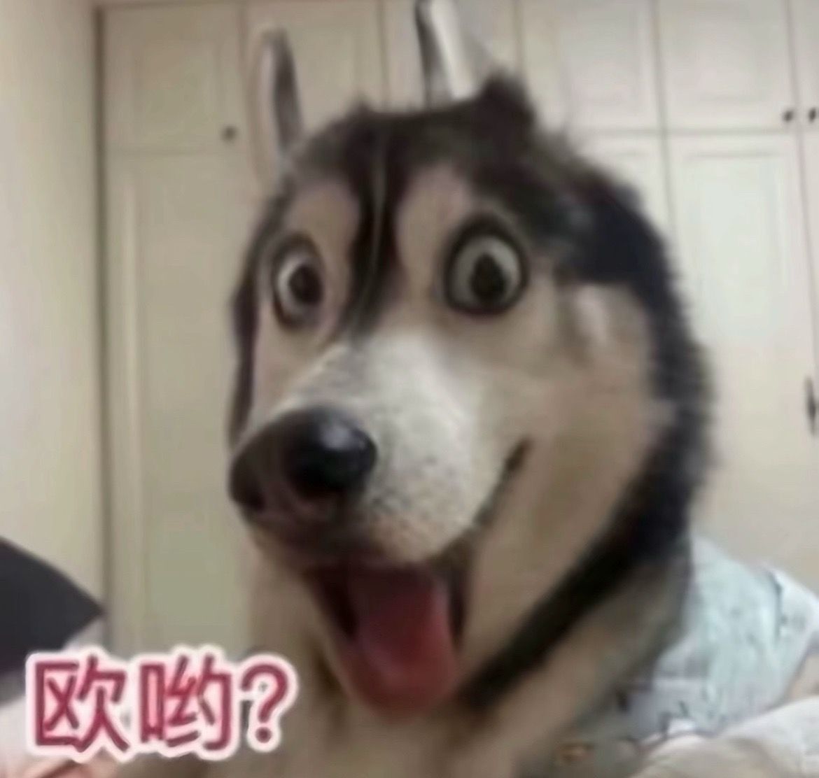 一想到天魔一周年的时候也是我跟杰哥的一周年 好幸福呀 ​​​
