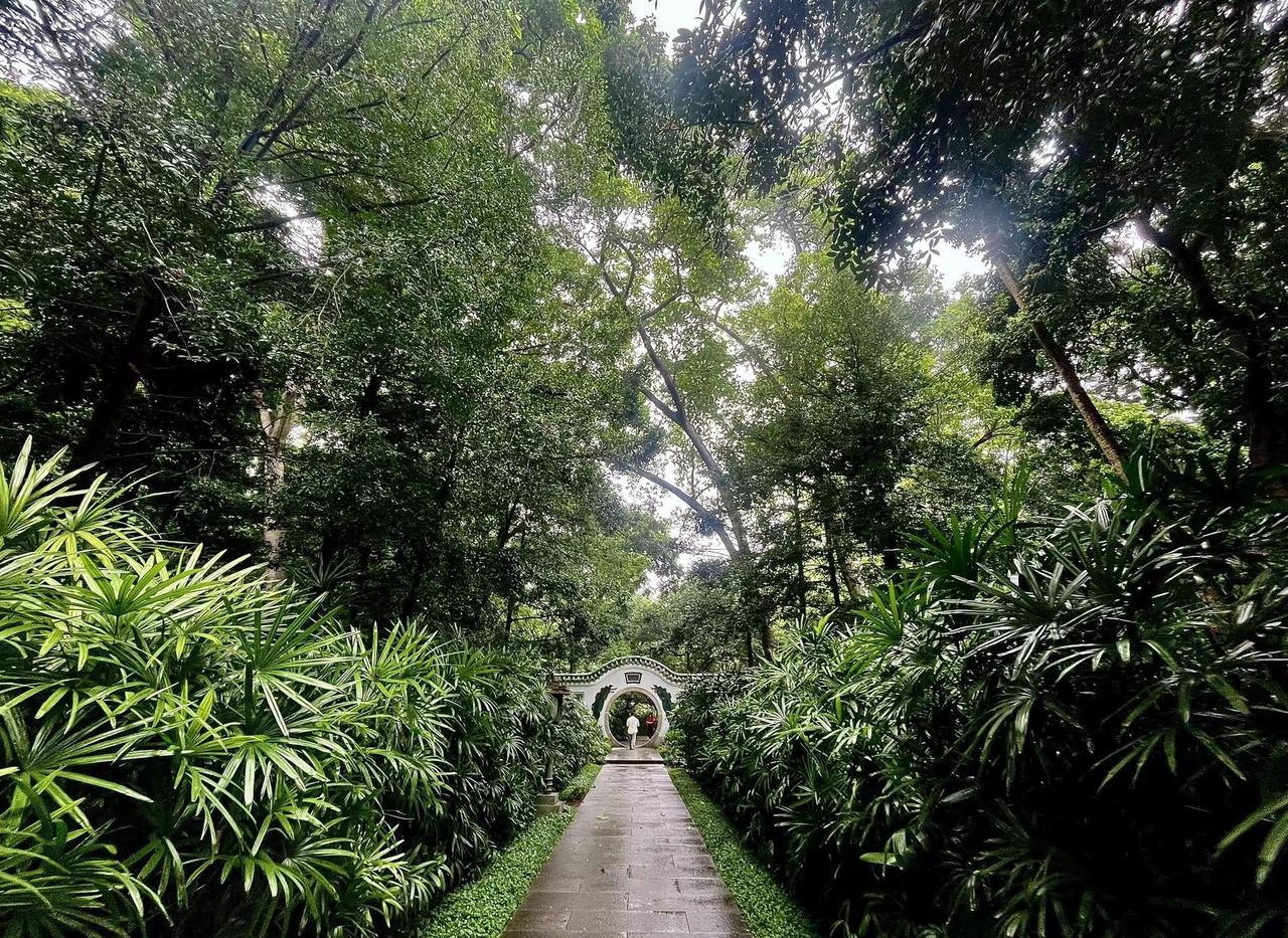 何必一厢旧梦 悠悠苦我心兰圃公园