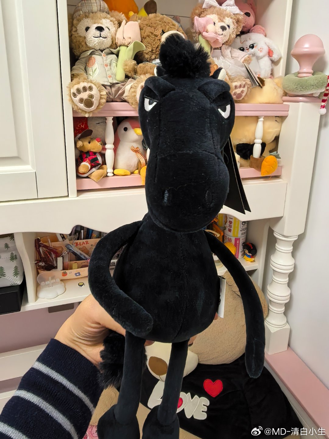 咱就是说它哪里好看，非要买一只带回家，是喜欢这个眼神吗