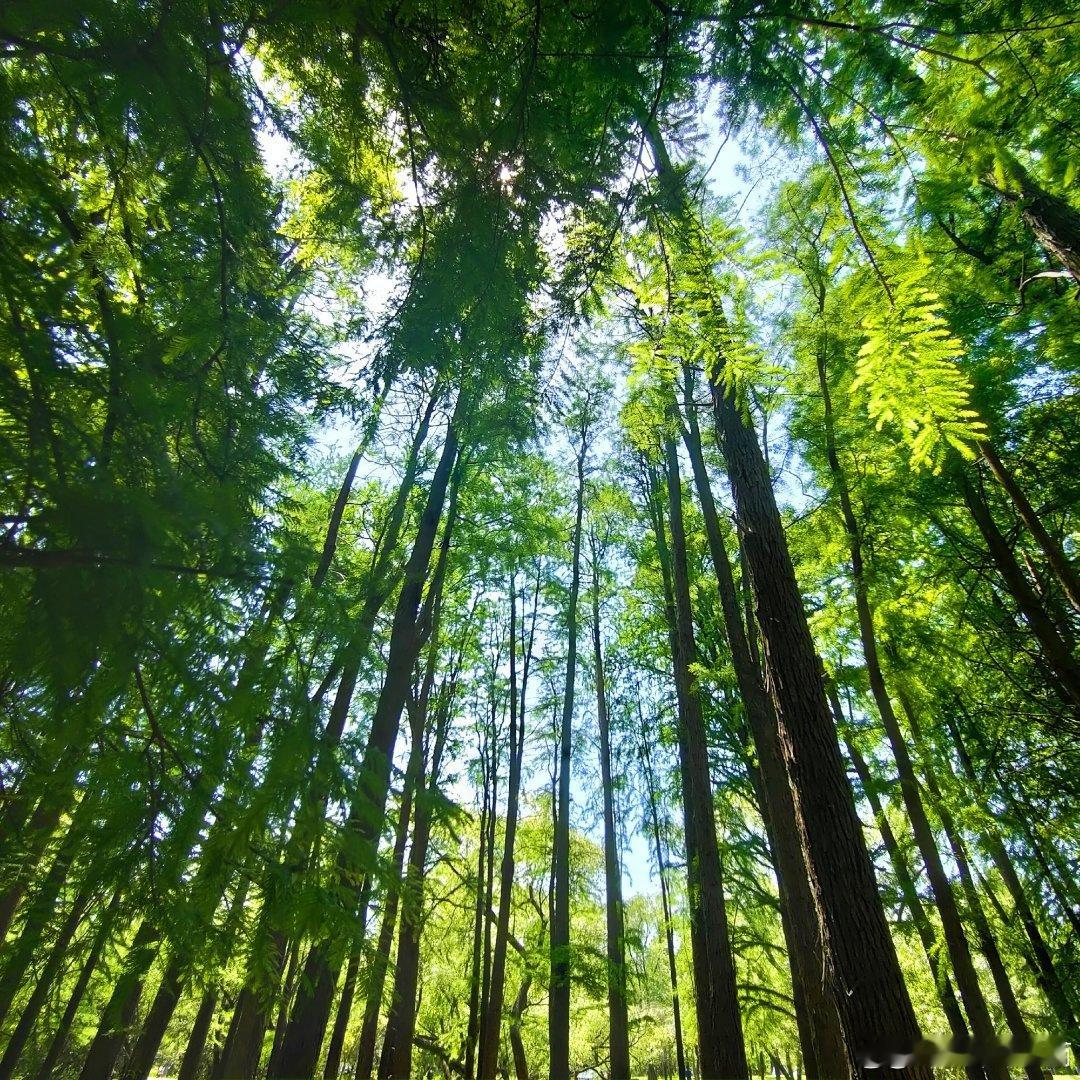 现实的婚姻，不是恋爱时的卿卿我我，而是两个人爱情的延续，和柴米油盐的现实生活。对