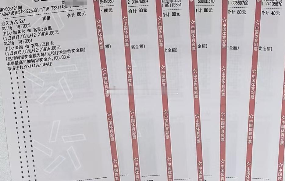 世界杯 加拿大vs波黑世界杯 美国vs巴拉圭 