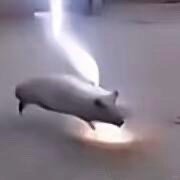 生活得知我幸福了0.1秒后 