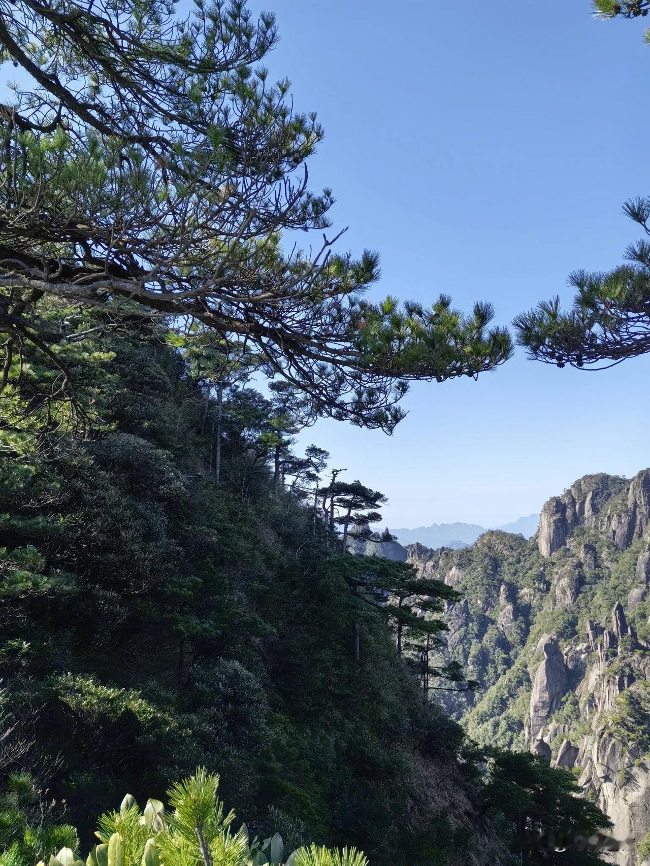 问道三清山，苍茫松海间！