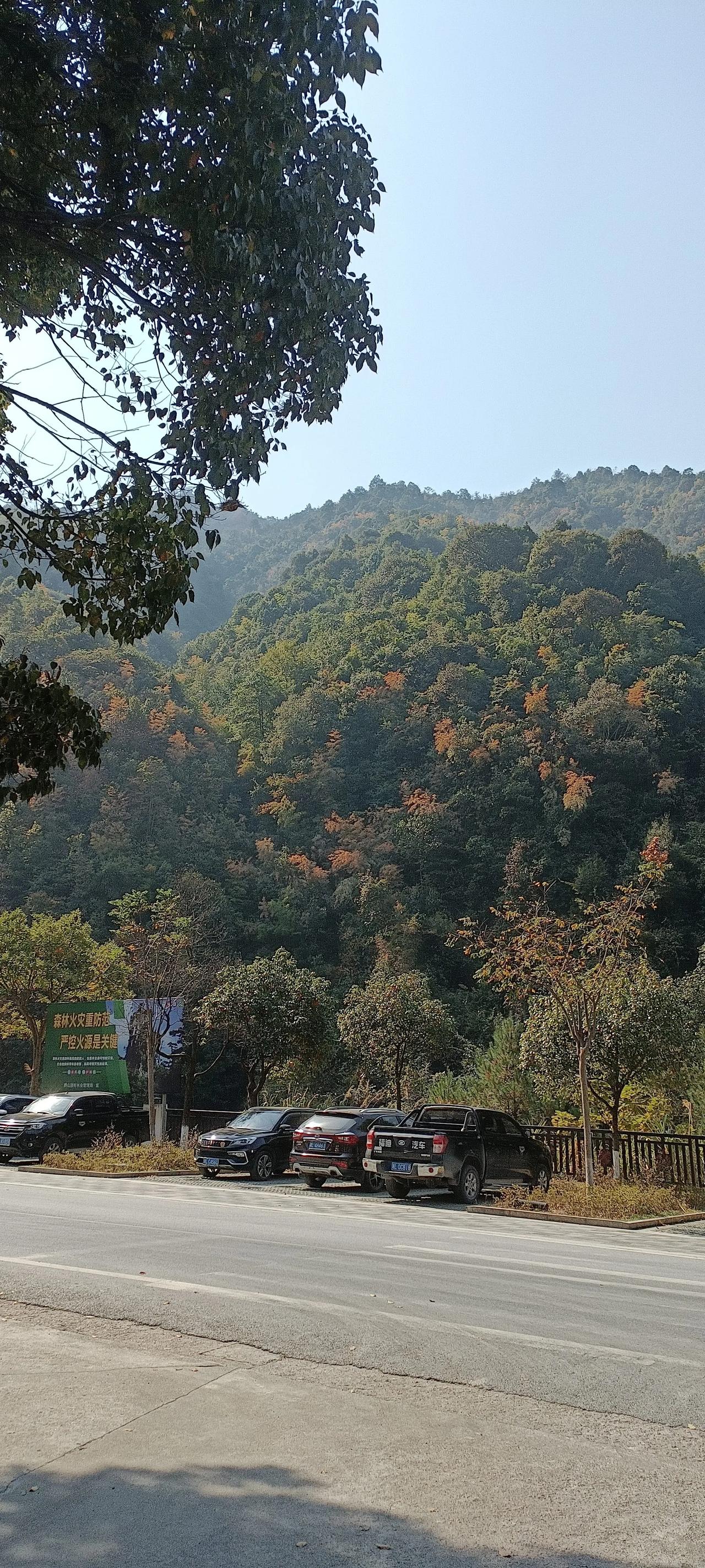 分享你旅行中拍下的最美风景照