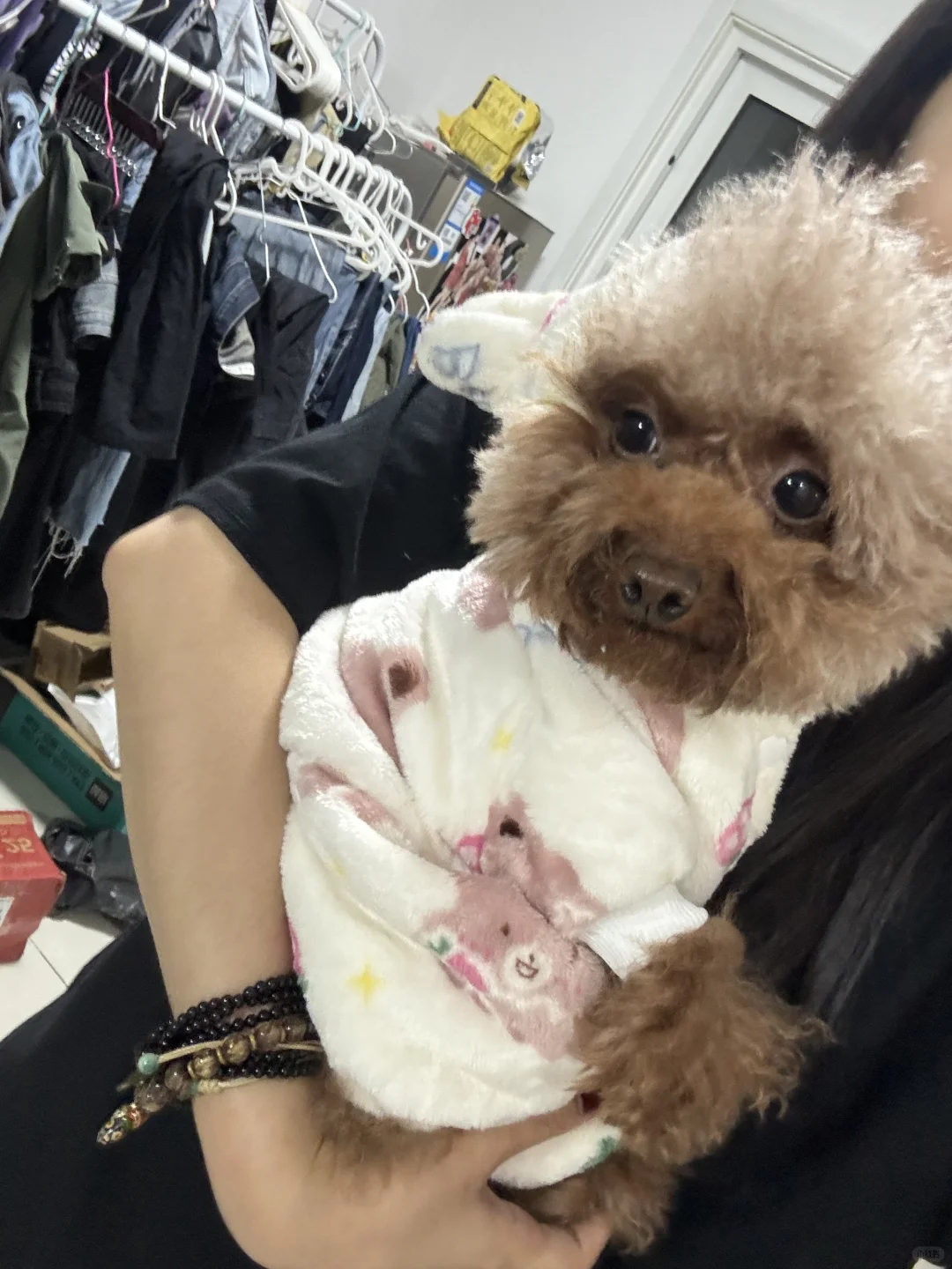 🐶：这个衣服好暖和