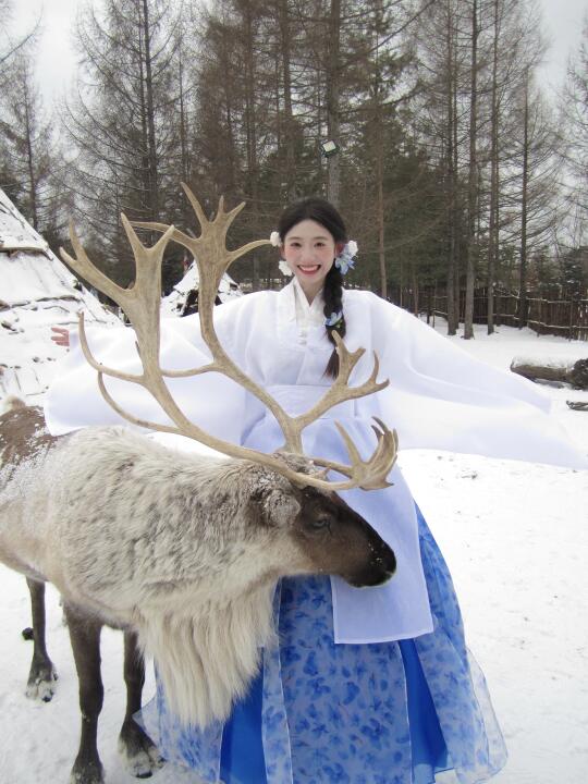 “在长白山拍到了麋鹿”🫣