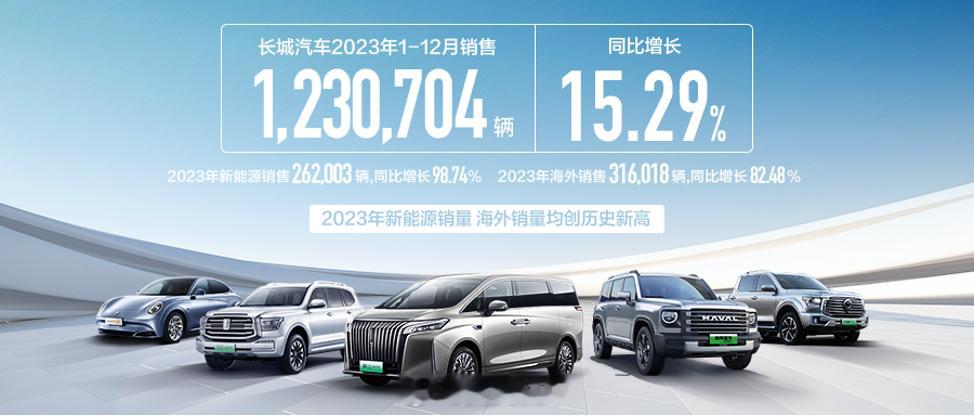 长城今年也干了123万台海外是一个持续增长的状态，未来还会神勇特别是搞搞东南亚地