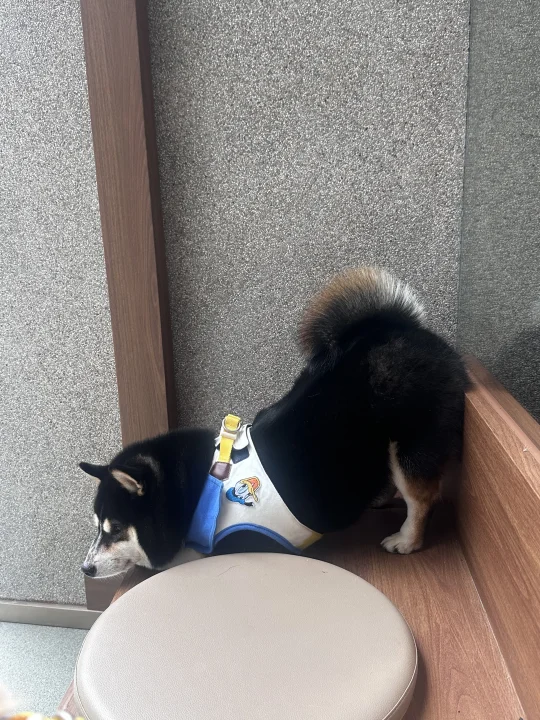 一种很新的坐姿