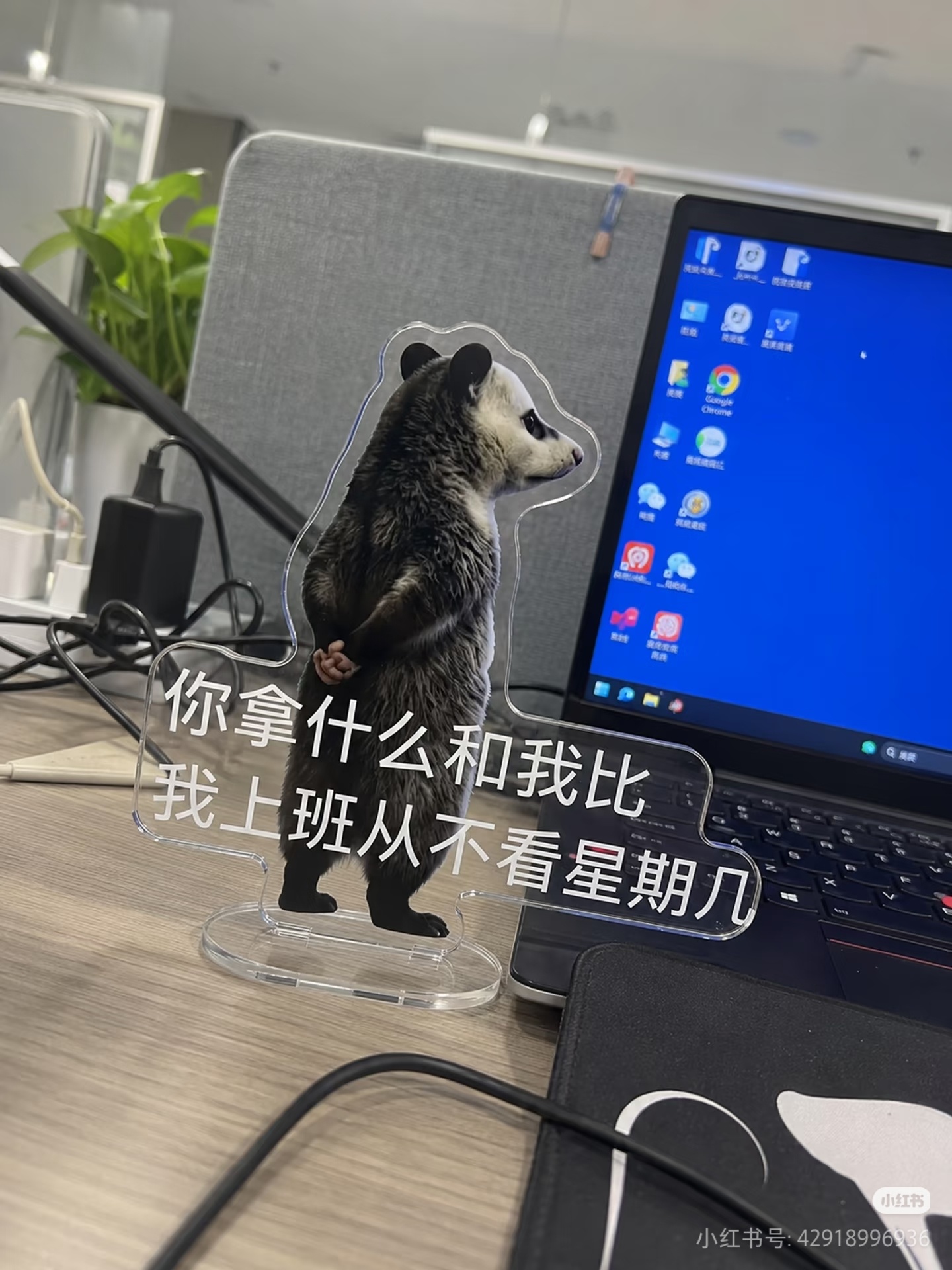 我爱上班 