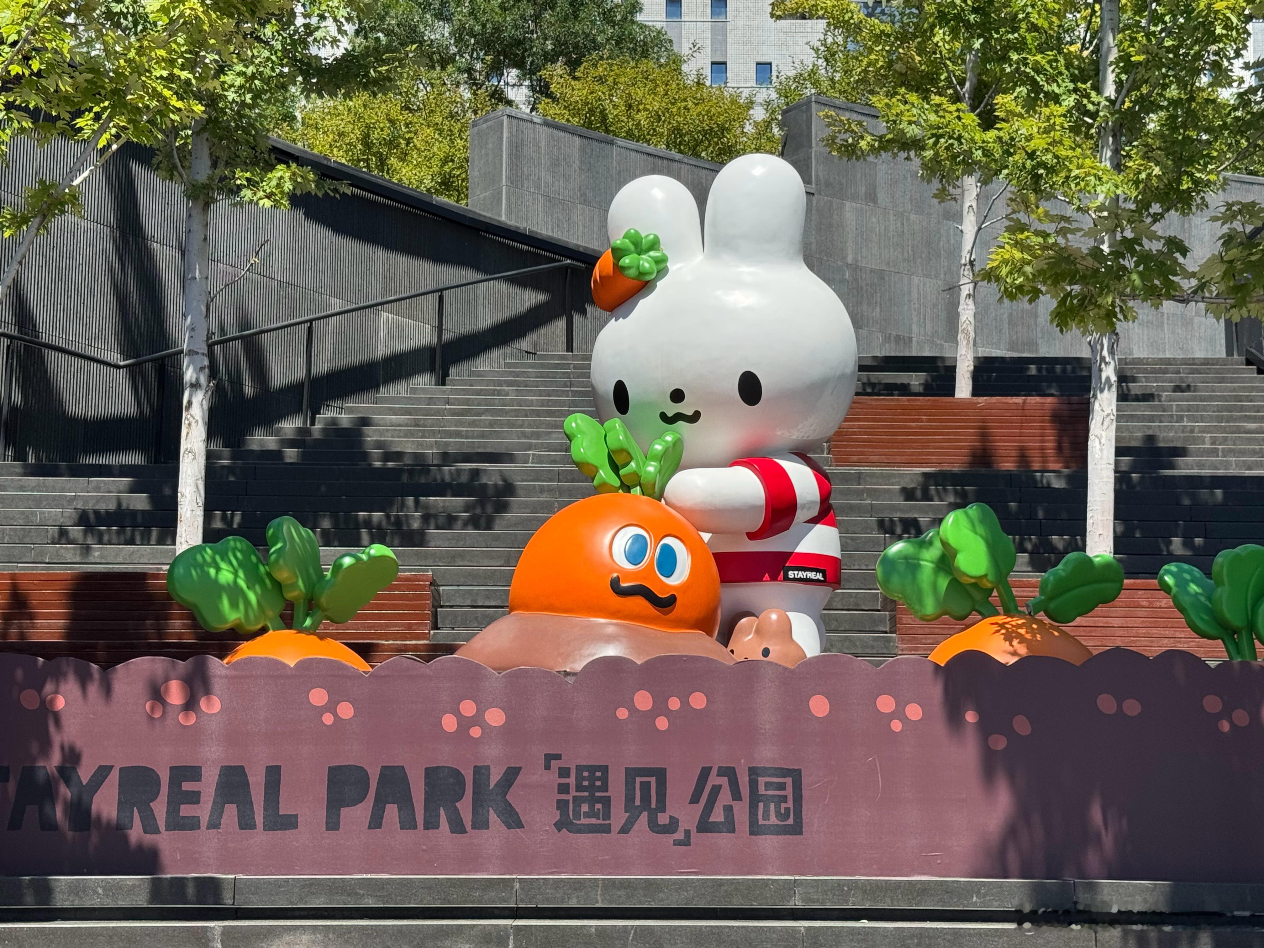 来西单拔萝卜来了[哈哈]  ​​​