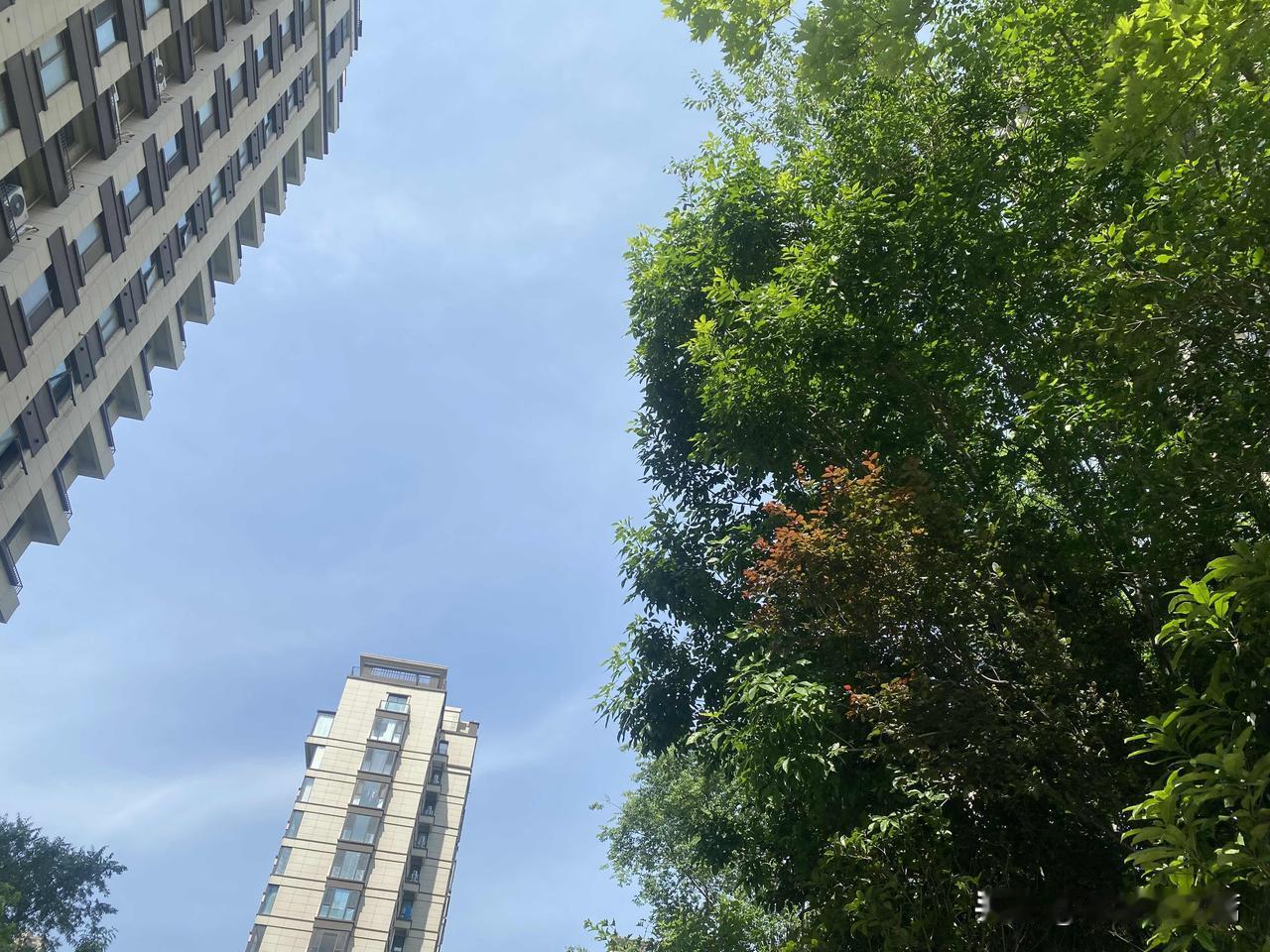 真心话茶局绿树阴中见楼台，人间天上两徘徊。
