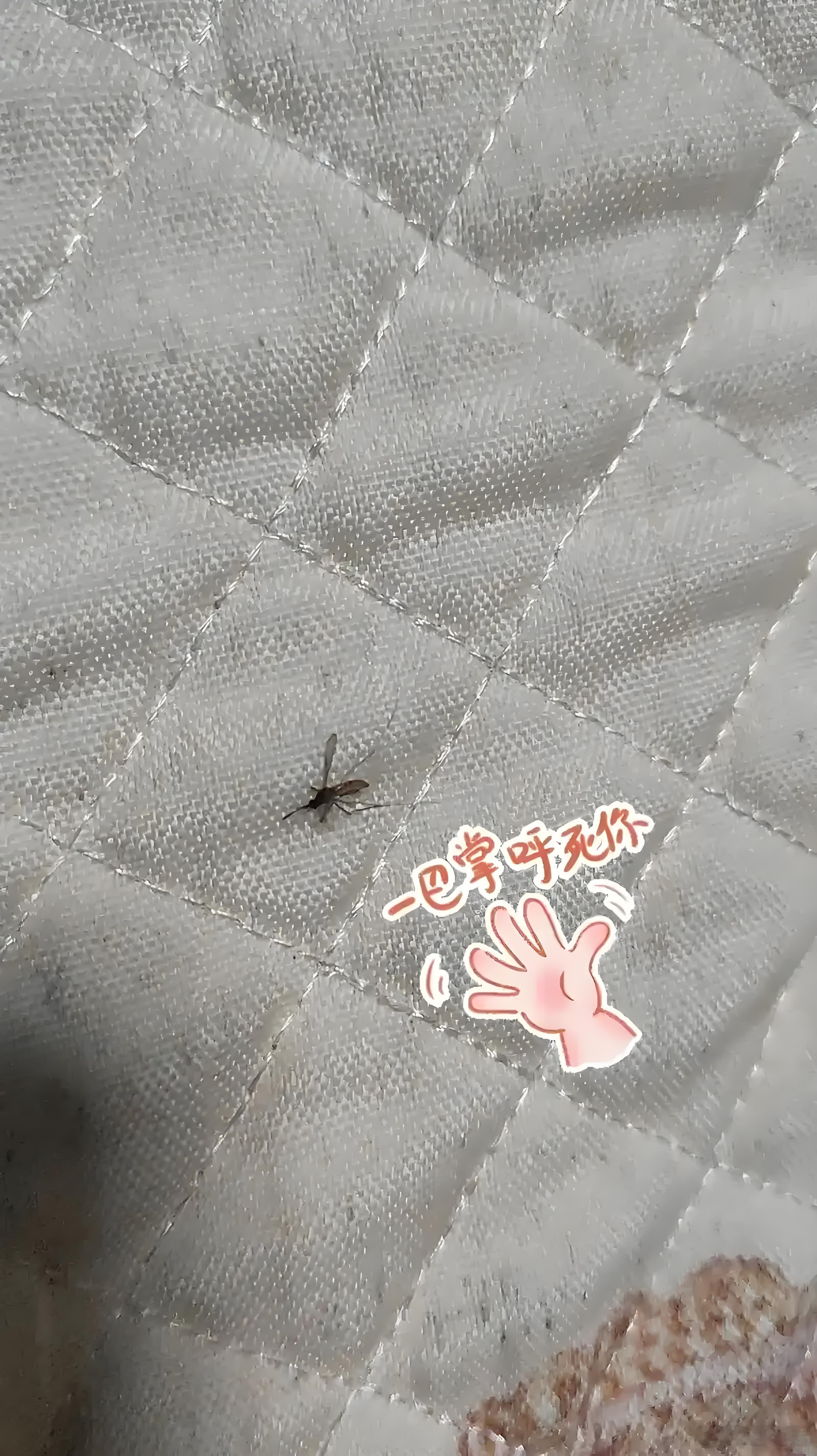 这事确实挺有意思的。与其说是搞笑新闻，我觉得更是一个展示现代城市如何用心治理。最