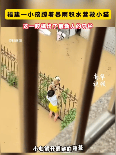 少年善意
 
倾盆暴雨街道积起深水，小男孩蹚水冒险救下被困小猫，摔倒落水依旧优先