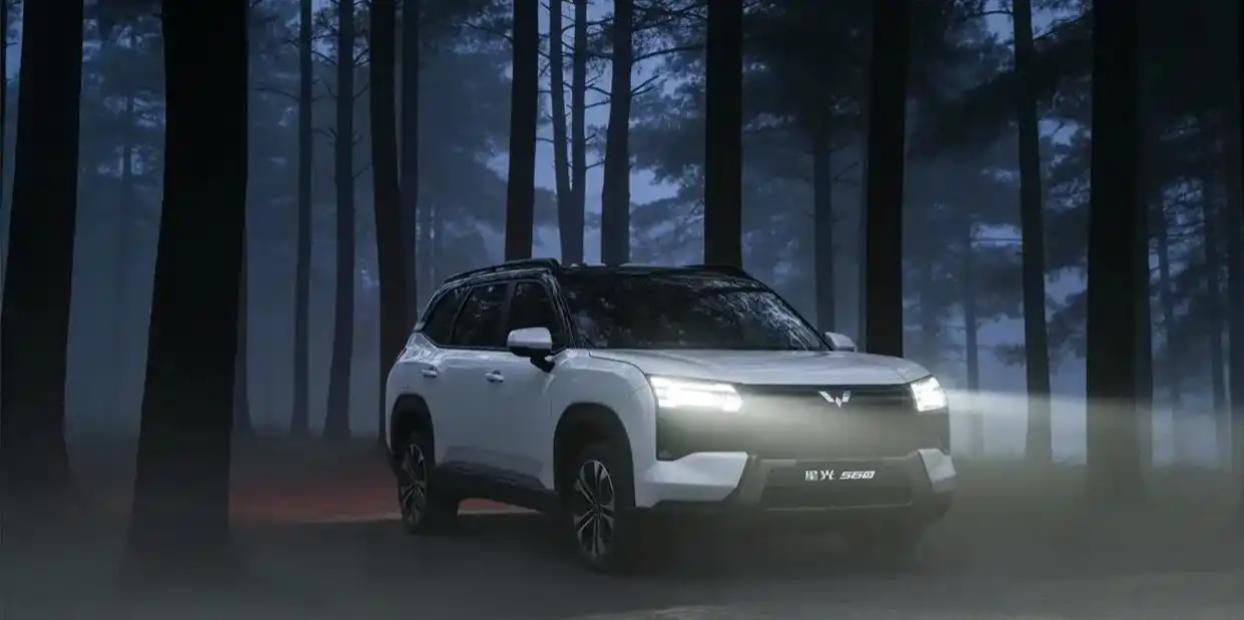 五菱库存新车在2万元左右的主要车型为五菱荣光（燃油车）和五菱之光（燃油车），需通