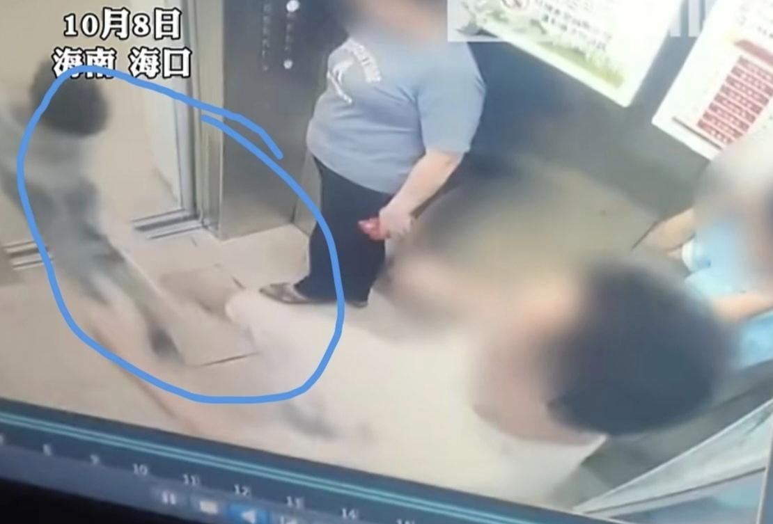 刚看到个新闻，真给我气坏了！海口一个自闭症男童独自买饮料坐电梯，竟被同乘男子一脚
