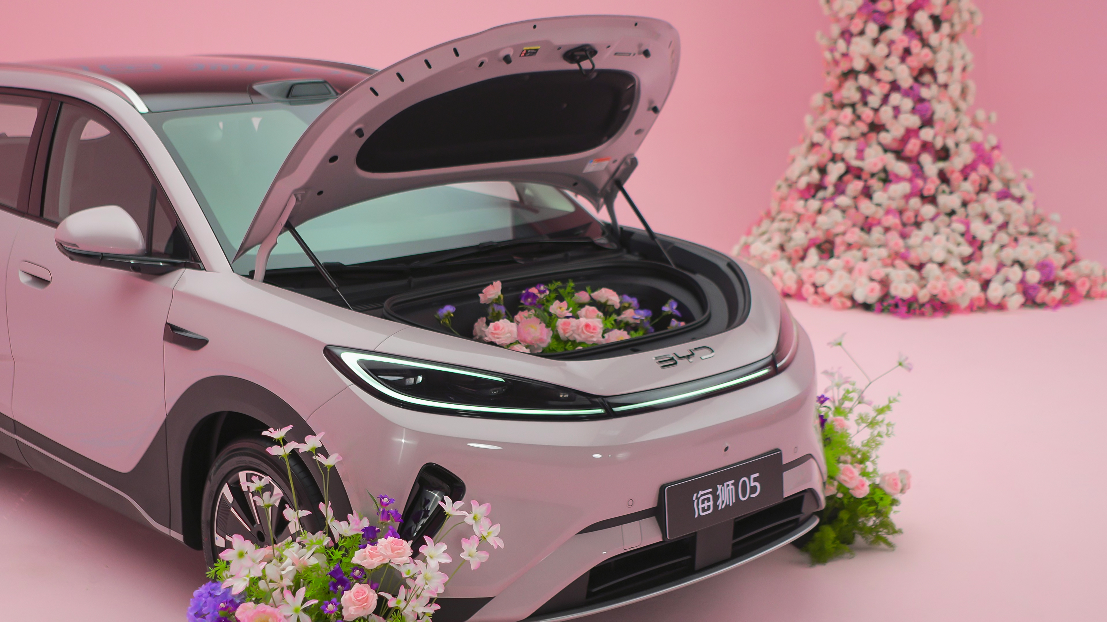 海狮也可以这样浪漫，我就缺个伴侣！大v聊车2026北京车展 假如我有女朋友，我一