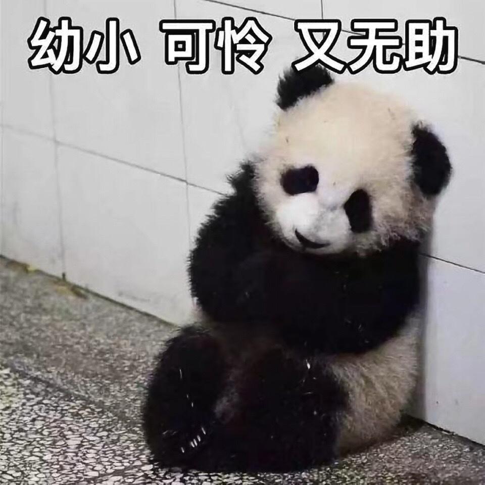 包拯之后二十余载，开封府又迎来一位硬刚权贵、庇护弱小的府尹

北宋开封府之所以家
