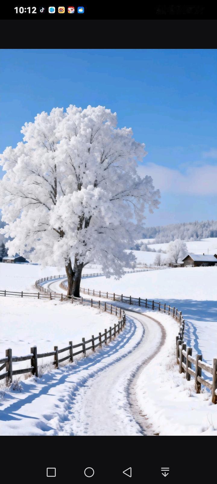 雪裹枝桠成玉树，寒天凝就这般绝色。蜿蜒的雪径绕着木栏向前，踩出的纹路似是冬的诗行