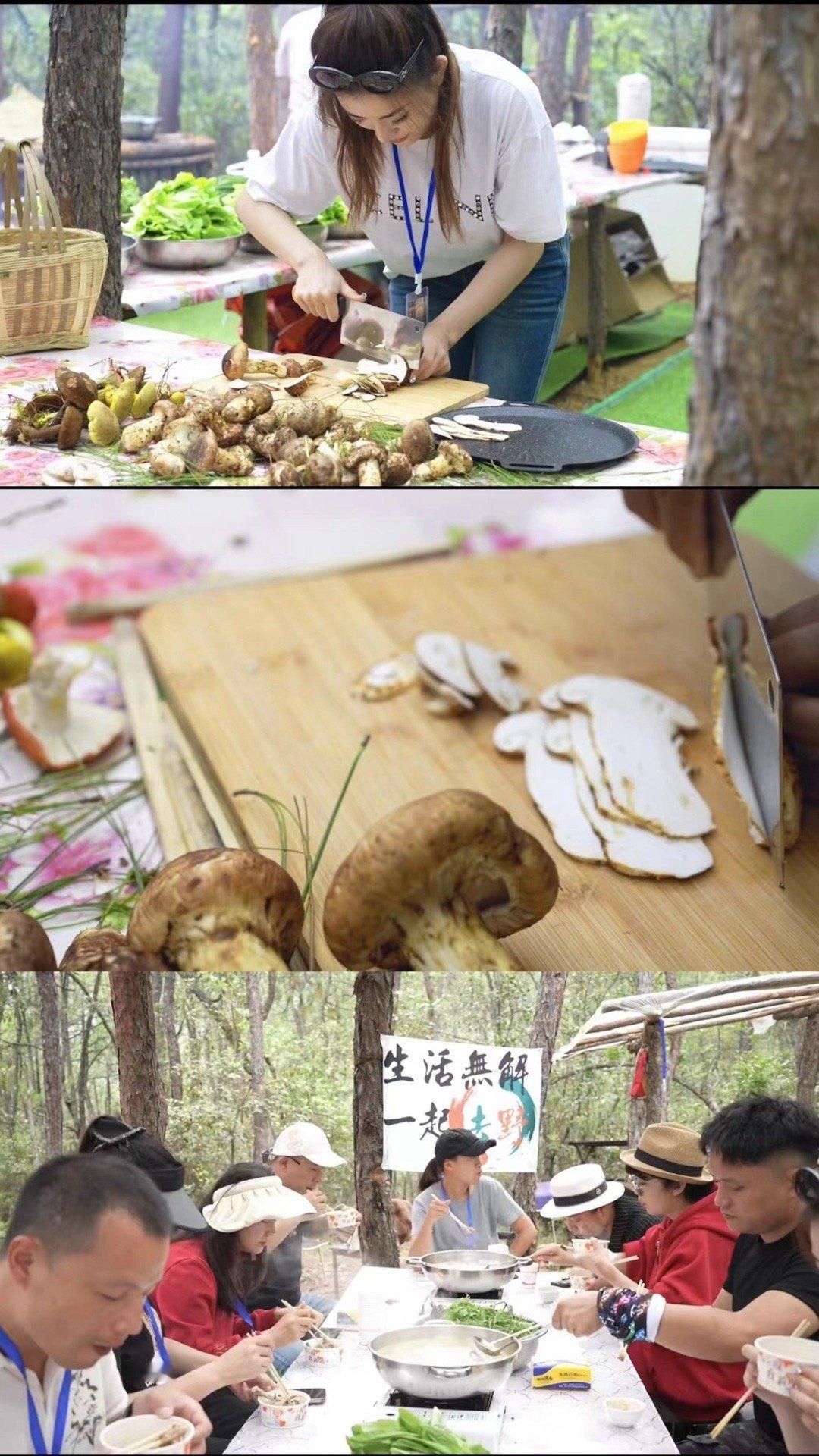 丽江大理七天六晚纯玩体验游 赠送户外松茸活动第一天 丽江接站 安排住在客栈第二天