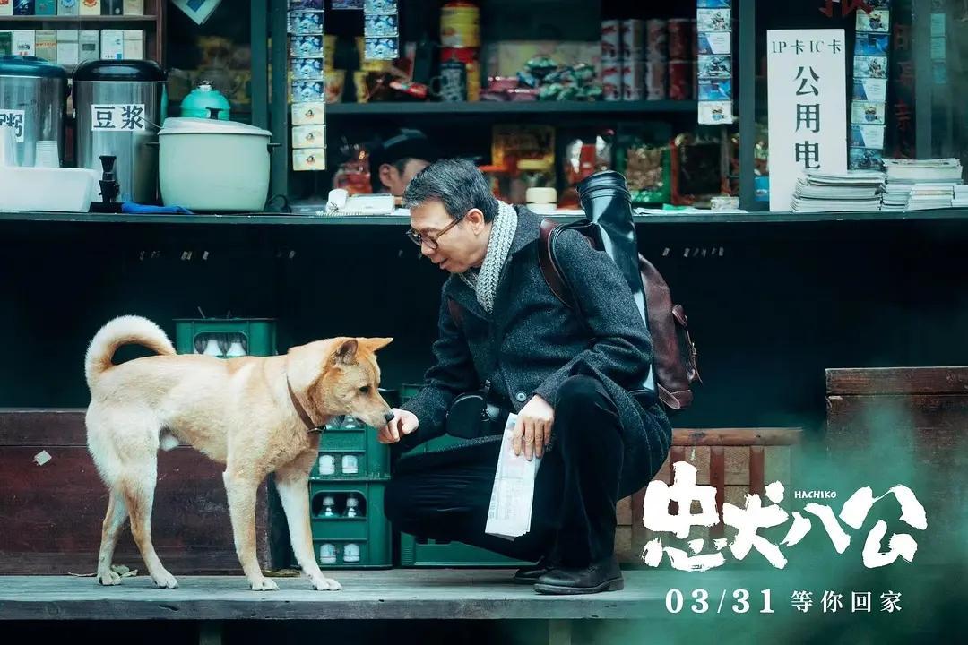 2023上半年评分最高的5部电影，榜首被低估，你贡献过几张票房？

第五部《忠犬