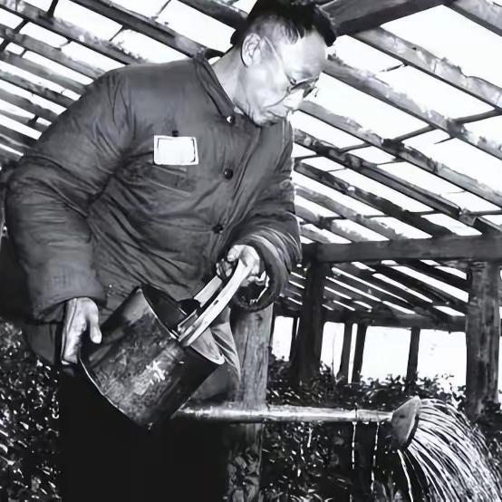 建国之后，为啥没对溥仪执行死刑，甚至还特赦了他？
 
溥仪作为中国最后一位皇帝，