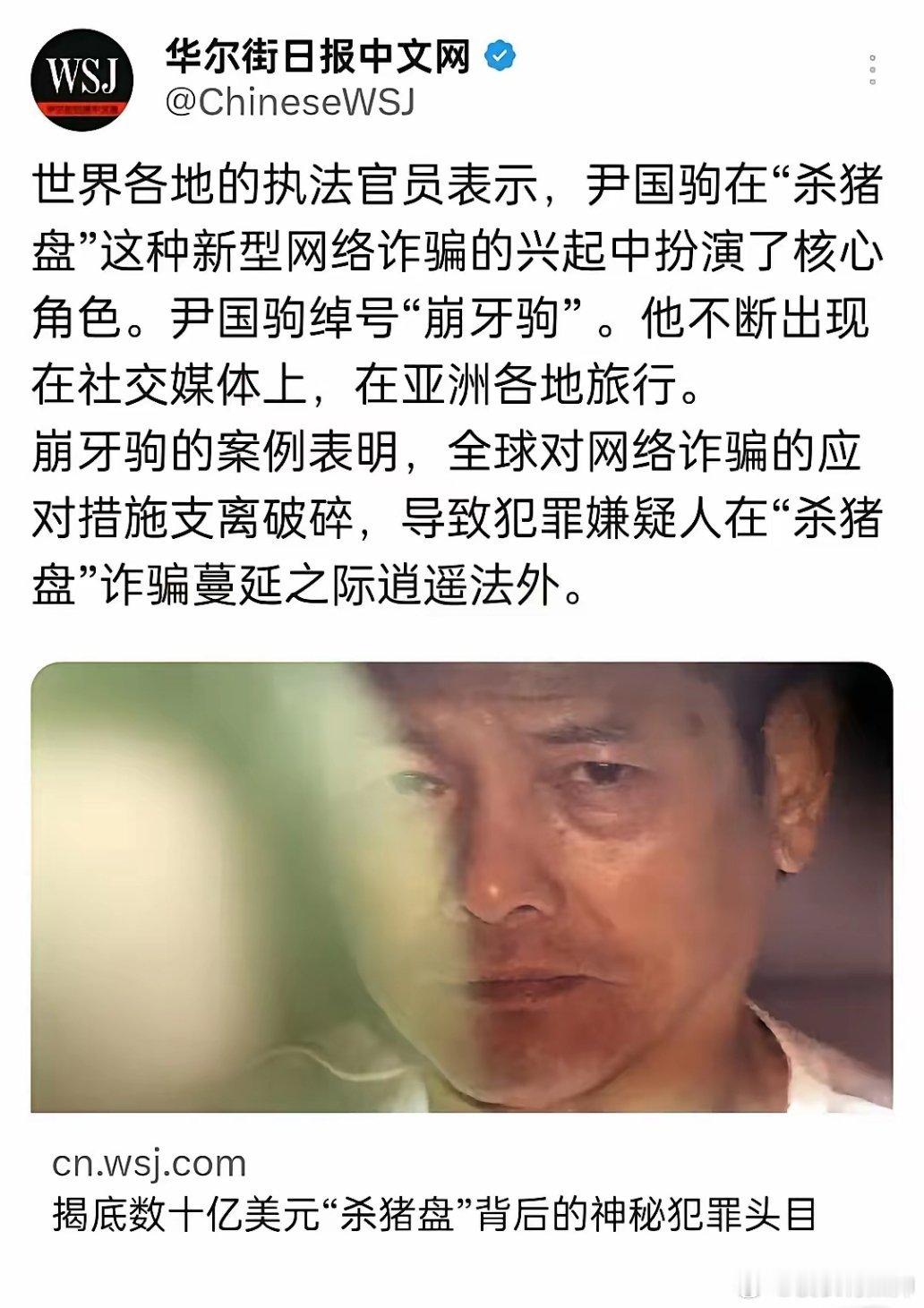 《华尔街日报》说：崩牙驹是网络诈骗的幕后老板。这家媒体发表文章说：“全球各地的执