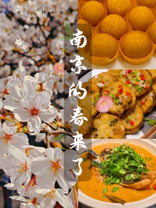 花与野~春与食~再雅酌园吃到了春天的野味