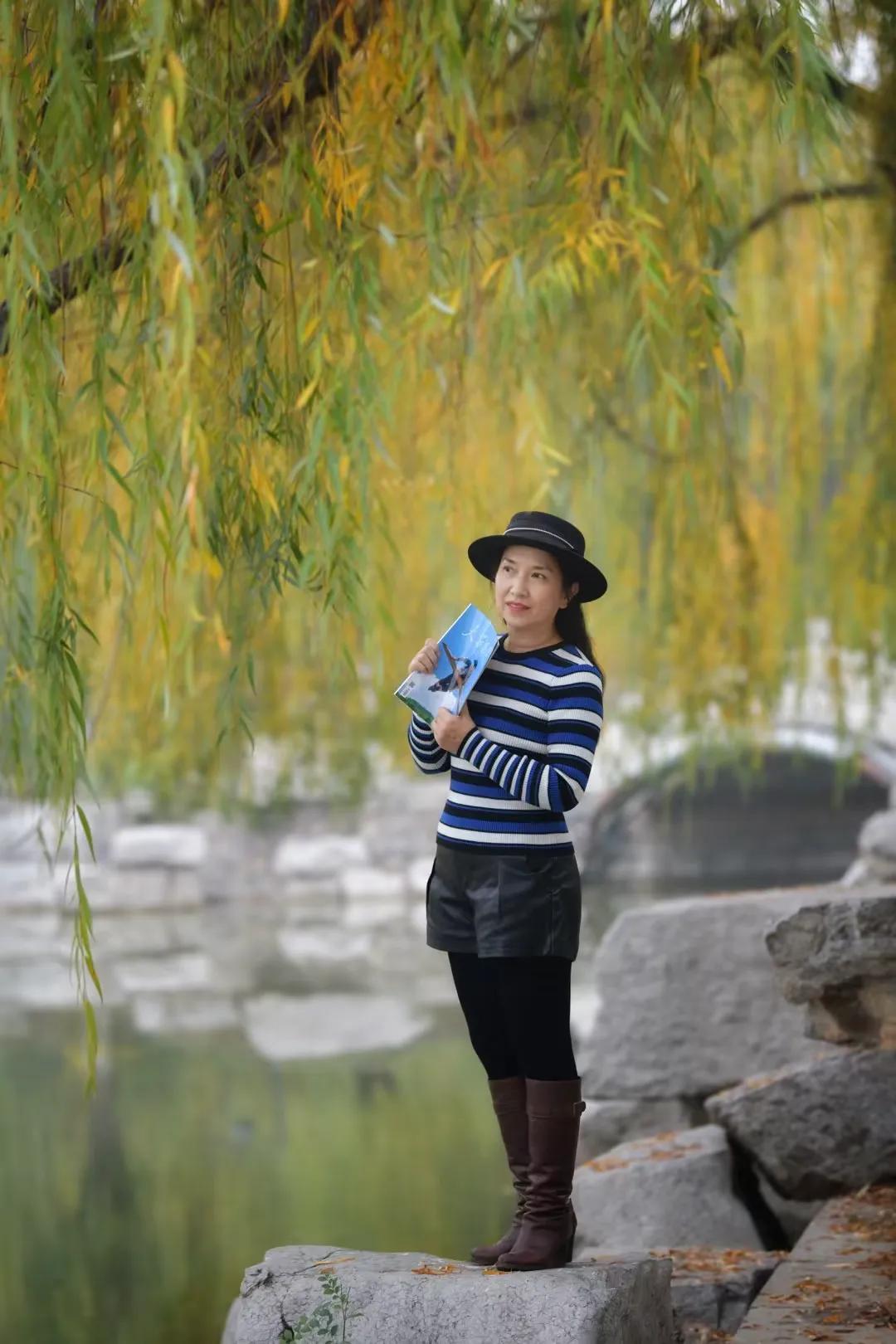 初冬时节的丛台公园，湖边的垂柳！公园里秋色 公园秋季景色 公园秋季美景