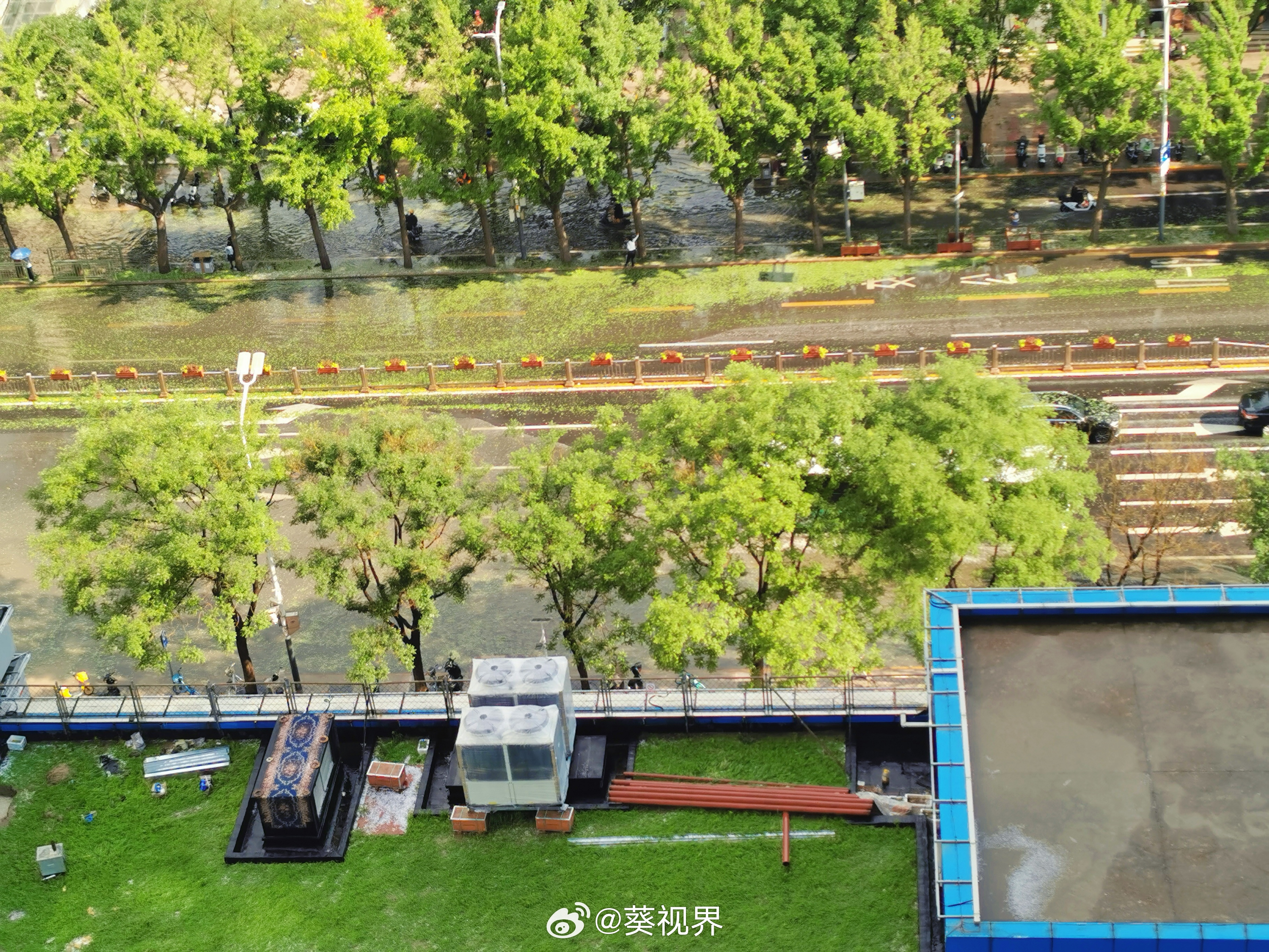 刚才北京那场大雨加冰雹真够厉害的——我站楼上望出去，对面马路全铺满了绿叶。