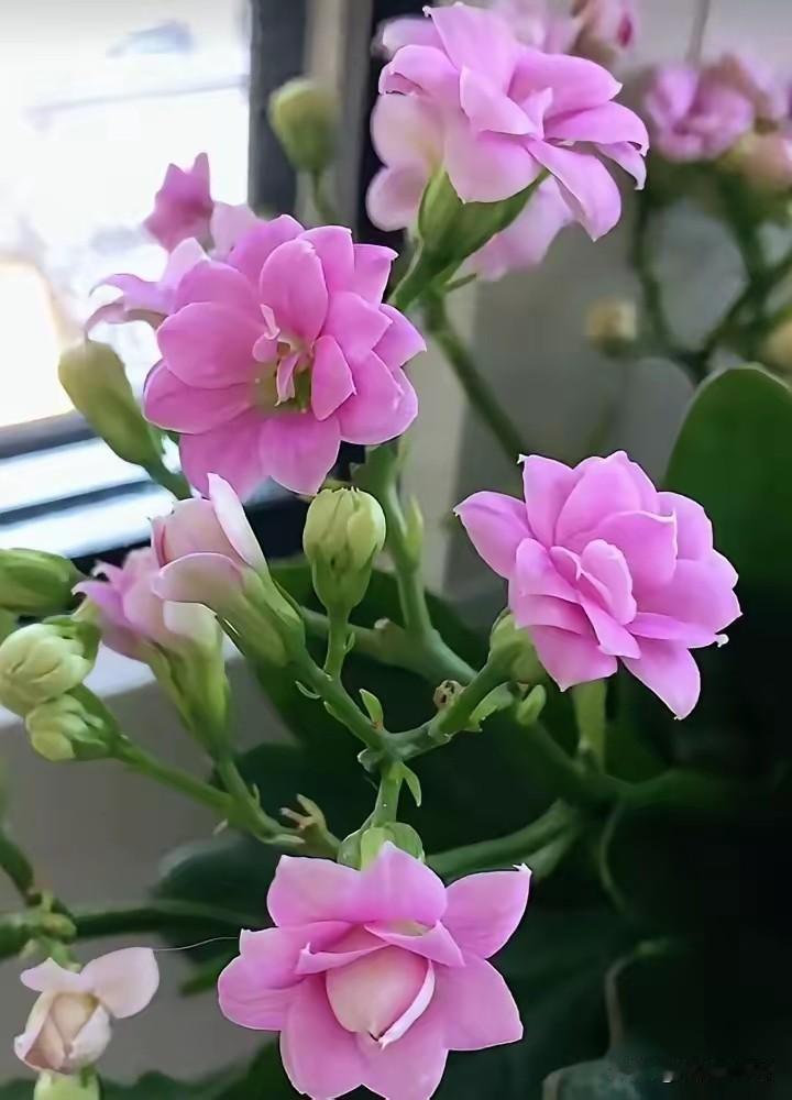 炒股要求不要太高！

炒股犹如握在手里的沙子，抓的越紧，漏的越快！越是想赚更多钱
