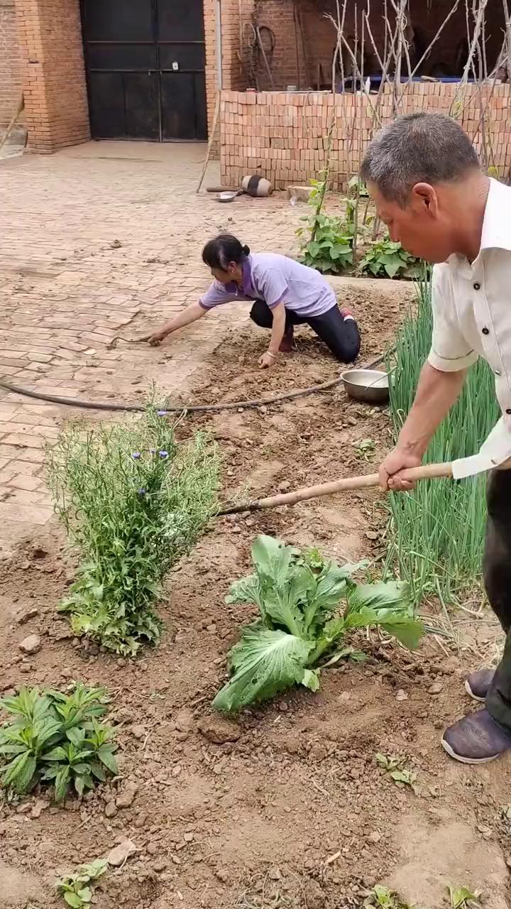 哈哈哈哈。