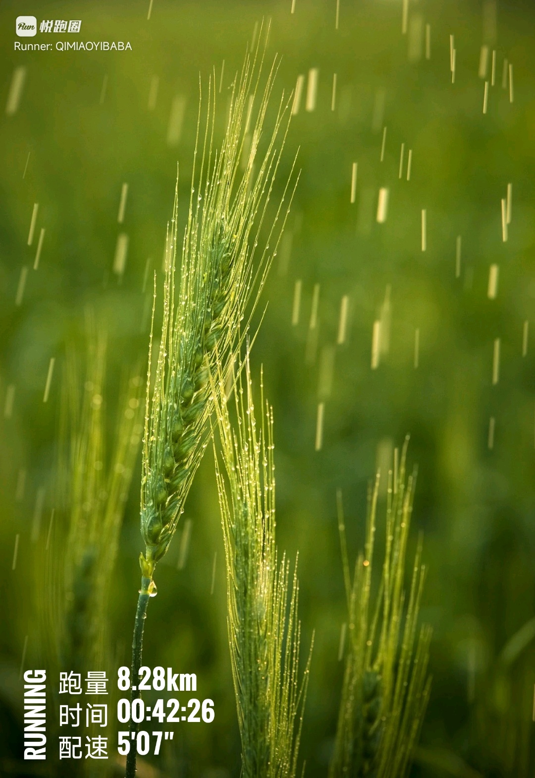 同学们早ﾉ☀今儿谷雨，春雨惊春清谷天，都跟春天告个别今儿二姐三姐踩着春天的尾巴去