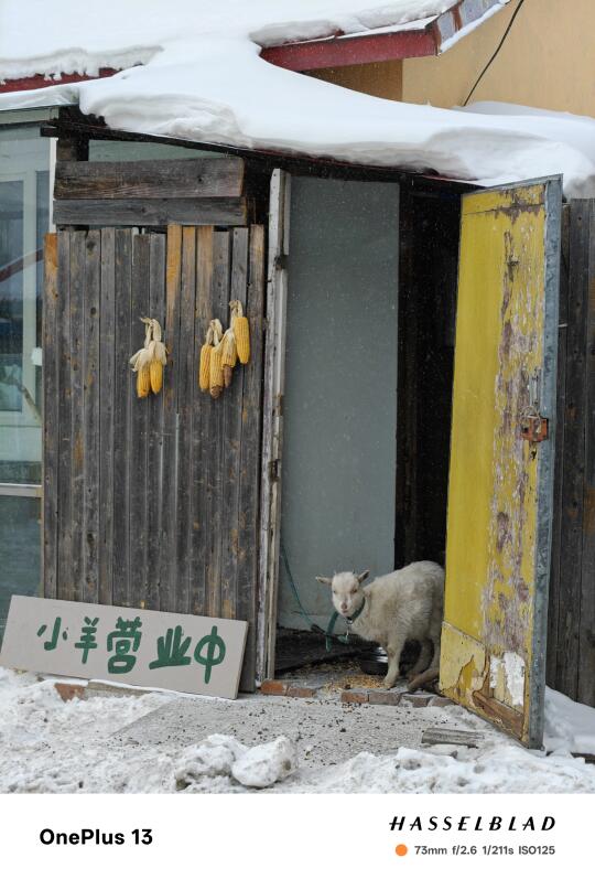 这才是live图存在的意义❄️北国的雪🚧~