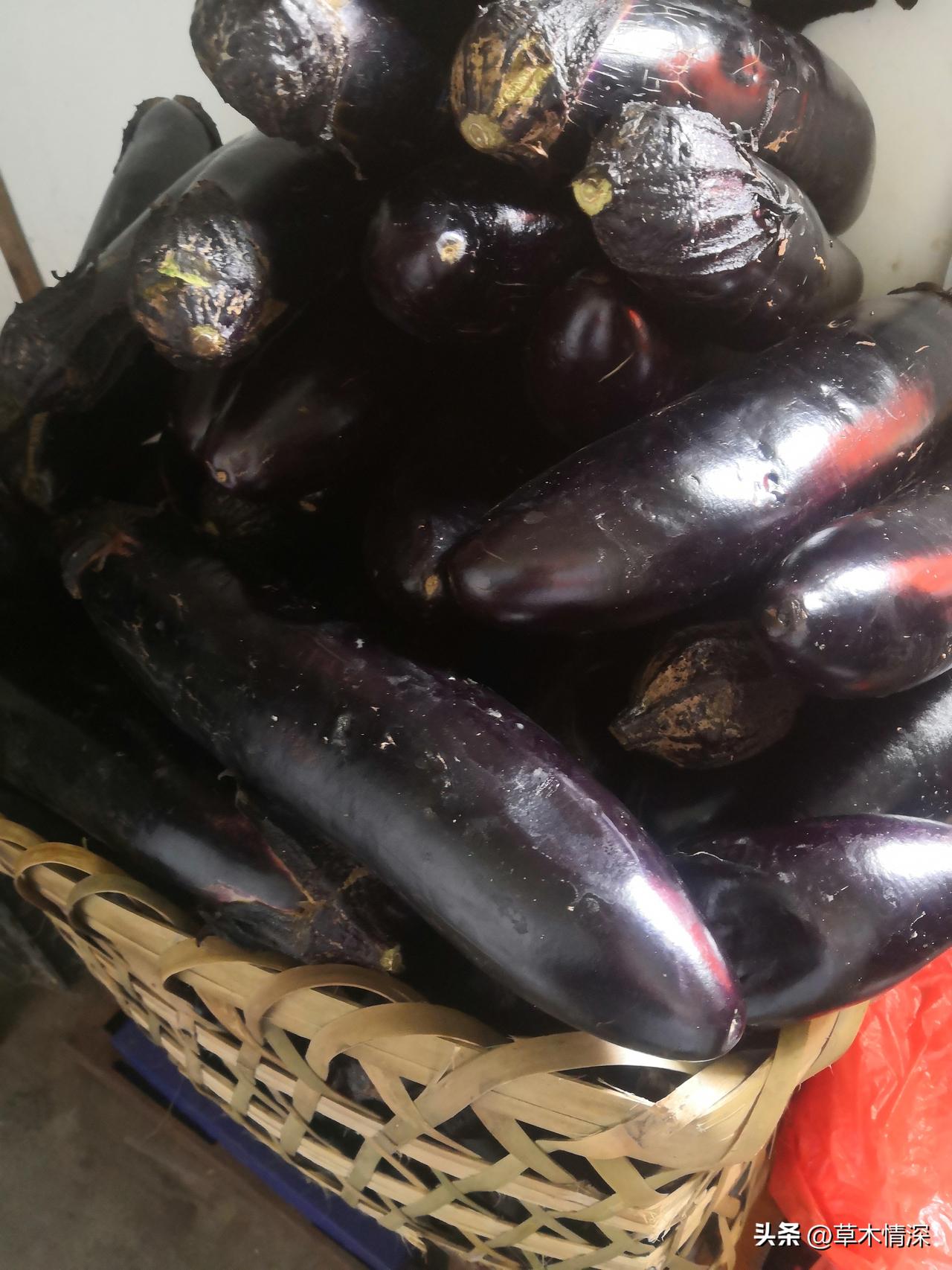 夜晚的金堂县非常热闹在金堂三星菜市，茄子4角钱1斤，可市场上却贵些，这不难理解。