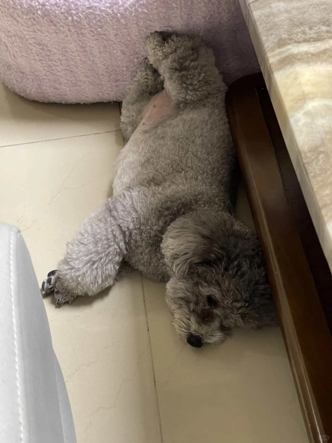 这个睡姿就问还有谁，腿短就是了不起