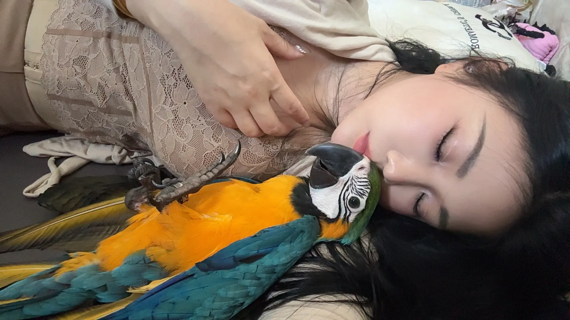 重感情的人，在感情路上，不论是情感，还是友谊的路都比较坎坷，所以情感都...