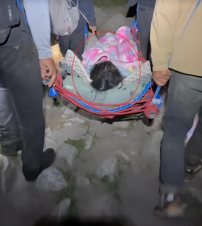 “贵吗？”四川，女子攀登雪山被石头砸骨折，必须得马上下山就医，他们求助当地村民，