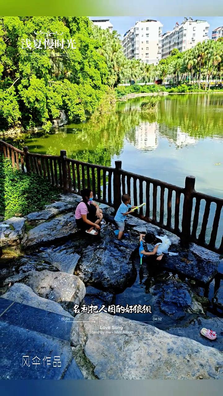 浅夏慢时光，新秀公园葵湖。
风伞作品。
青春在岁月里慢慢退，奔波半生没尝到甜味，