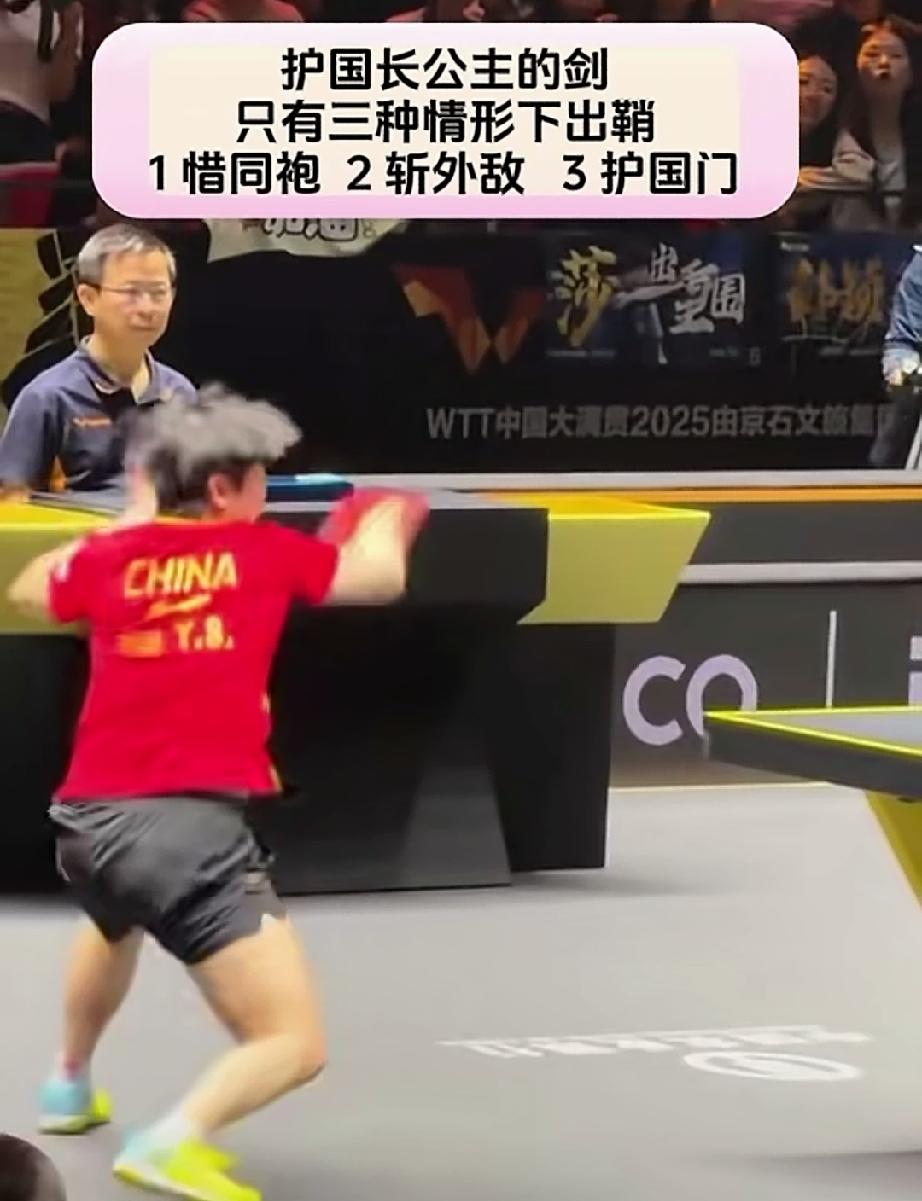 护国长公主什么时候利剑出鞘呢？
都知道莎莎厉害，但是面对内战，却总替莎莎担心。