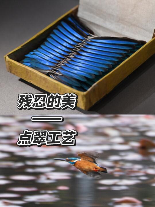 翠鸟的羽毛，诉说着奢侈又残忍的点翠工艺