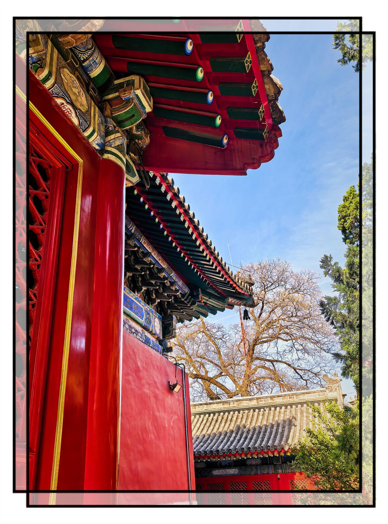 晒图笔记大赛万寿寺