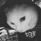 薯羽捧情感